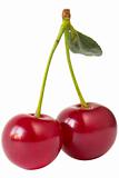 Two cherries (clipping path isolation)