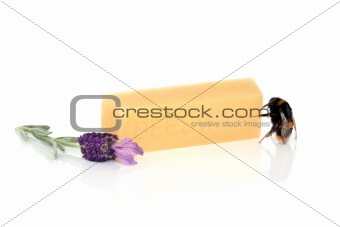 Bumblebee and Beeswax