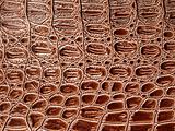 Brown crocodile leather background