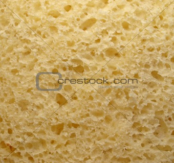 White bread texture