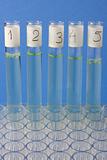 laboratory glass testing tubes 