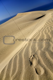 Dune Footprint