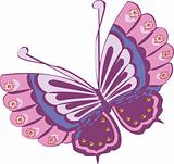 butterfly design illustration