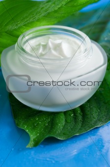 Cosmetic Cream