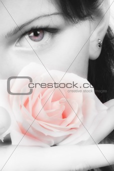 pink rose and red eye