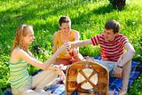 Friends on picnic
