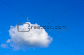 Cumulus Cloud