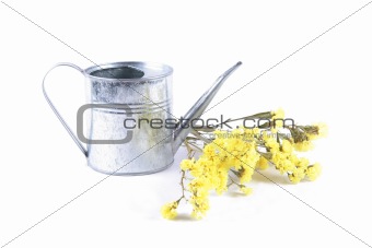 Yellow dried flowers in an iron watering can
