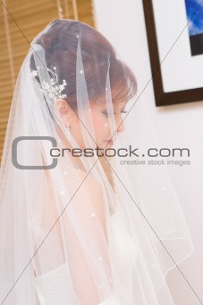 Close up bride to be hidden in veil