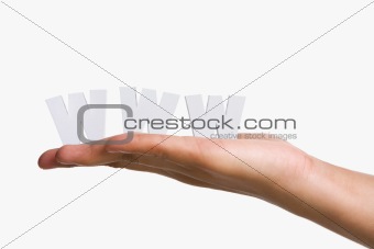 Hand holding WWW