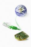 Turtle, Lan cable and world globe