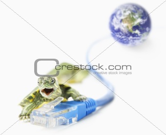 Turtle, Lan cable and world globe