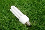  Energy saving light bulb in green grass