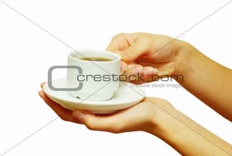hands holding a cup