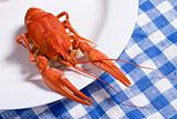 cooked crayfish