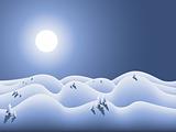 winterland with moon and snow
