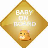 Baby on board cat