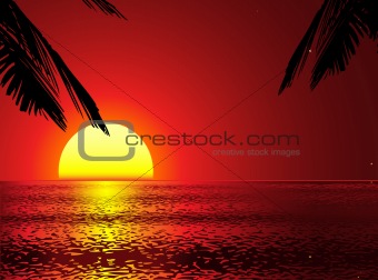 vector sunset with removeable palms