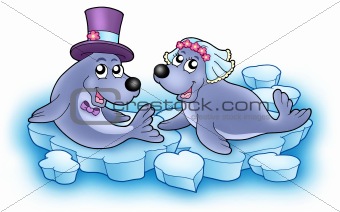 Wedding image with cute seals