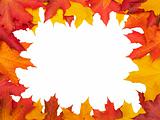 Autumn leafs frame (clipping path isolation)