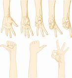 gesturing hands