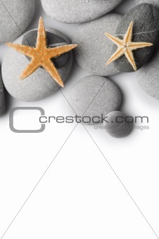 Starfish on Pebbles 