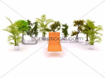 Chair enclosed by plants
