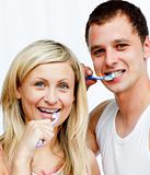 Portrait of a couple cleaning their teeth