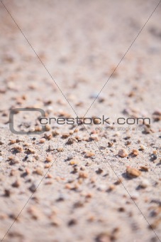 Sandy ground covered with small stones