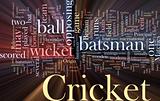 Cricket word cloud glowing