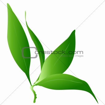Green leaf stick