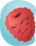 Raspberry fruit illustration