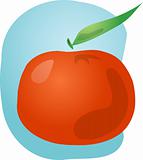 Tangerine fruit illustration