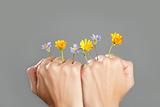 Concept of plant growing from woman hands