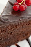 Slice of delicious chocolate cake with red currants