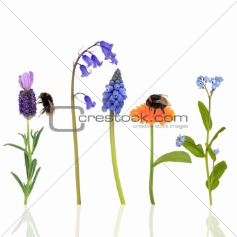 Bumble Bees and Flowers