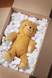Teddy bear transport