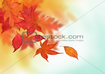 Colourful Autumn Falls