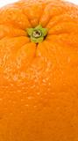 Orange detail