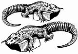 Alligator Sketch - black and white