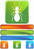 Green Square Icon - Ant