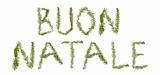Spruce twigs forming the phrase 'BUON NATALE'