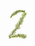 Spruce twigs forming the number '2'