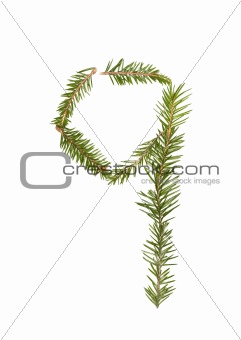 Spruce twigs forming the number '9'
