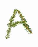 Spruce twigs forming the letter 'A'