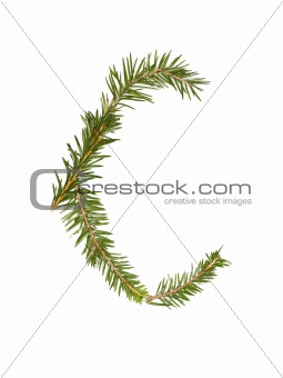 Spruce twigs forming the letter 'C'