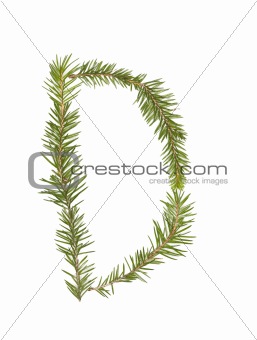 Spruce twigs forming the letter 'D'
