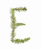 Spruce twigs forming the letter 'E'