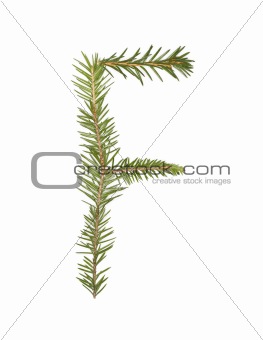 Spruce twigs forming the letter 'F'