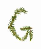 Spruce twigs forming the letter 'G'